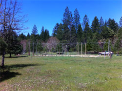 Image of trellis and twine